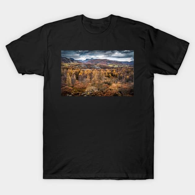 View of Forest and Hills T-Shirt by TonyNorth